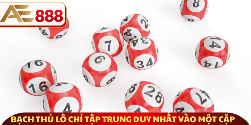 Bạch thủ lô chỉ tập trung duy nhất vào một cặp